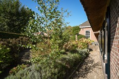 Foto 31.jpg